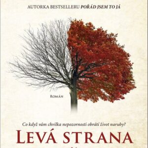 Levá strana světa - Co když vám chvilka nepozornosti obrátí život naruby? (Lisa Genova) (česky)