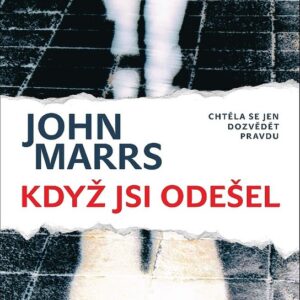 Když jsi odešel - Chtěla se jen dozvědět pravdu (John Marrs) (česky)