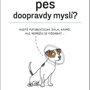 Co si váš pes doopravdy myslí (Sophie Johnsonová) (česky)