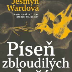 Píseň zbloudilých duší (Jesmyn Wardová) (česky)
