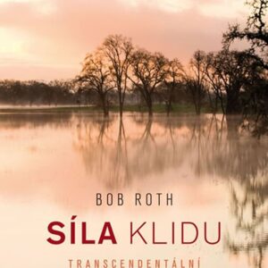 Síla klidu. Transcendentální meditace (Kevin Carr O´Leary) (česky)