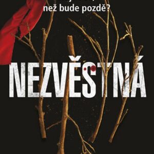 Nezvěstná (T. J. Brearton) (česky)