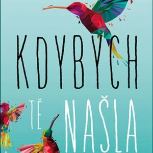 Kým jsme byli (Ava Dellaira) (česky)