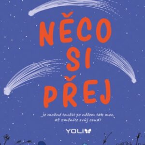 Něco si přej (Karen Riversová) (česky)