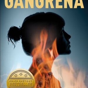 Gangréna (Cilla Börjlind) (česky)