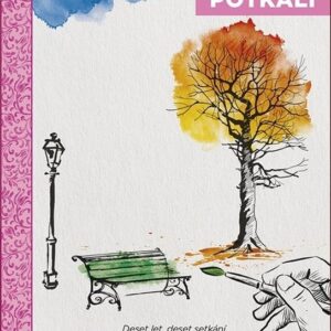 Den, kdy jsme se potkali - Deset let, deset setkání. Dva lidé. Jedna dechberoucí romance. (Roxie Cooper) (česky)