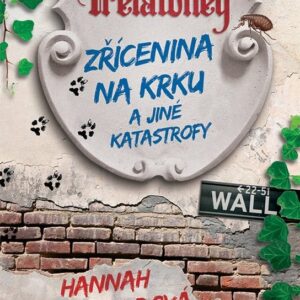 Zřícenina na krku a jiné katastrofy (Hannah Rothschild) (česky)