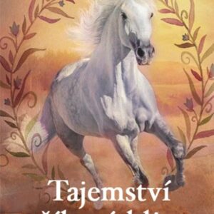 Tajemství stříbrné klisny (Julie Wald) (česky)