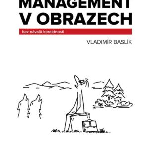 Management v obrazech (Vladimír Baslík) (česky)