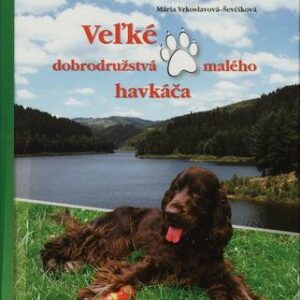 Veľké dobrodružstvá malého havkáča (Mária Vrkoslavová)