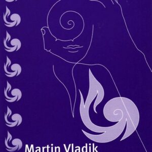 Čas poznania (Martin Vladik)