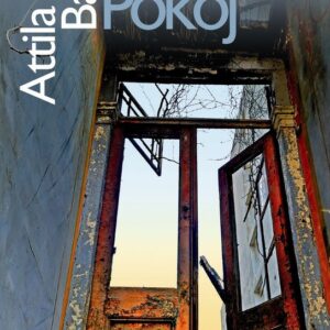 Pokoj (Attila Bartis)