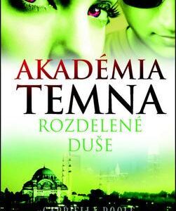 Akadémia temna 3 - Rozdelené duše (Gabriella Poole)