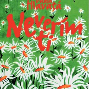 Neverím ti (Dana Hlavatá)