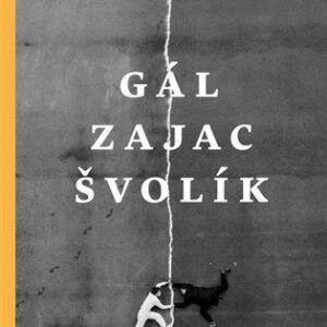 Dvadsaťpäť - Fedor Gál, Miro Švolík, Peter Zajac