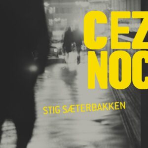 Cez noc (Stig Saeterbakken)