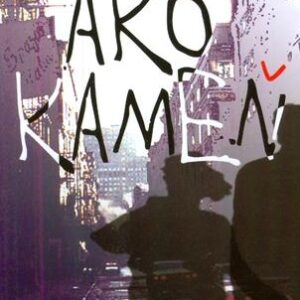Ako kameň (Swindells Robert)