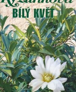 Bílý květ (Marie Kyzlinková) (česky)