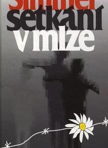 Setkání v mlze (Johannes Mario Simmel) (česky)