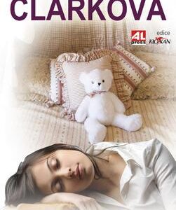Pamatuj na mě (Mary Higgins Clark) (česky)