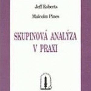 Skupinová analýza v praxi (Pines, Malcolm) (česky)