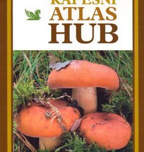 Houby česká encyklopedie + Kapesní atlas hub (Vladimír Antonín) (česky)