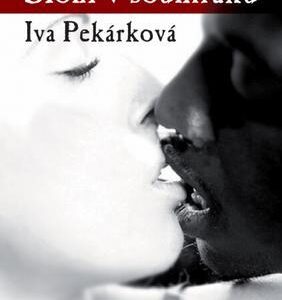 Sloni v soumraku (Iva Pekárková) (česky)