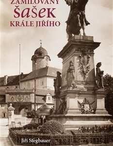 Zamilovaný šašek krále Jiřího (Jiří Stegbauer) (česky)