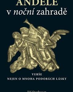 Andělé v noční zahradě (Jiří Stegbauer) (česky)