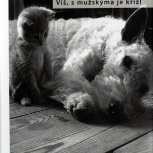 Víš, s mužskýma je kříž (Alena Hrachovcová) (česky)