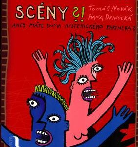 Proč mi děláš scény?! (Drinocká, Hana) (česky)