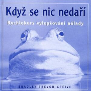 Když se nic nedaří (Bradley Trevor Greive) (česky)