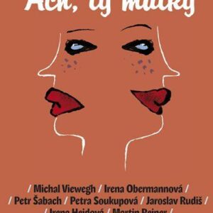 Ach, ty matky (Michal Viewegh) (česky)