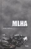 Mlha (Milena Brůhová) (česky)