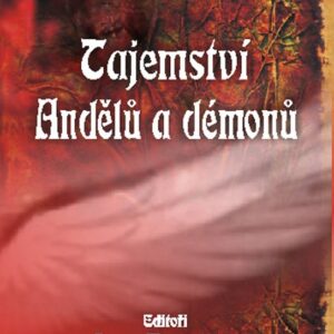 Tajemství andělů a démonů (Dan Burstein) (česky)