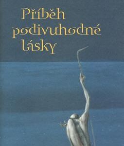 Příběh podivuhodné lásky (Carl-Johan Vallgren) (česky)