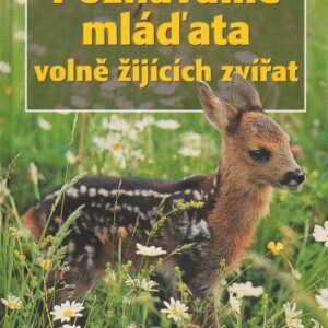 Poznáváme mláďata volně žijících zvířat (Michael Lohmann) (česky)