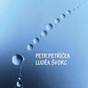 Na vlnách netu (Petr Petříček) (česky)