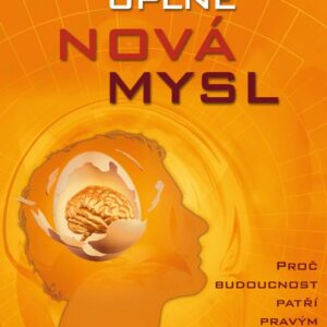 Úplně nová mysl (Daniel H. Pink) (česky)