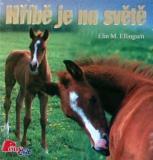 Hříbě je na světě (Elin M. Ellingsen) (česky)