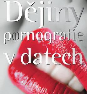 Dějiny pornografie v datech (Vladimír Poštulka) (česky)