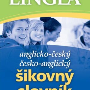 Anglicko-český česko-anglický šikovný slovník...… nejen do školy