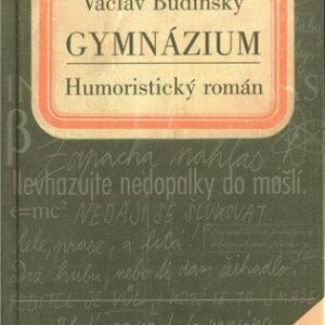 Gymnázium (Václav Budinský) (česky)