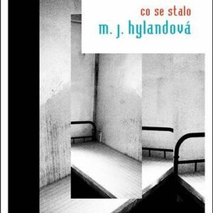 Co se stalo - Maria Joan Hylandová (Hylandová Maria Joan) (česky)