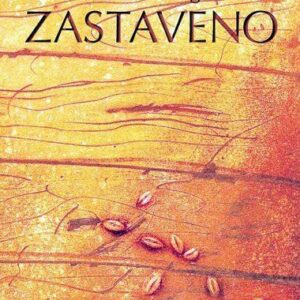 Zastaveno (Michal Čagánek) (česky)