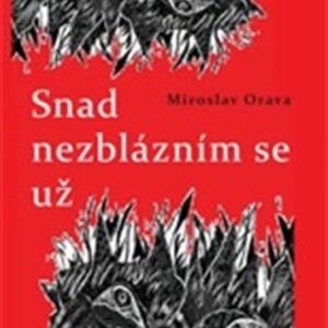Snad nezblázním se už (Miroslav Orava) (česky)