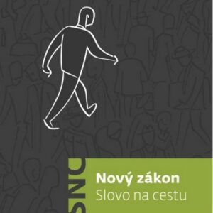 Nový zákon Slovo na cestu (Vallotton Annie) (česky)