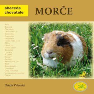 Morče - Abeceda chovatele (Nataša Velenská) (česky)