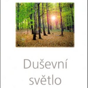 Duševní světlo (Luule Viilma) (česky)