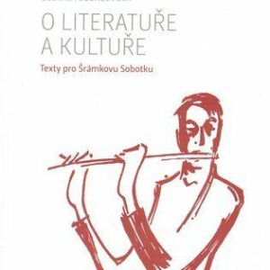 O literatuře a kultuře (Ludmila Budagovová) (česky)